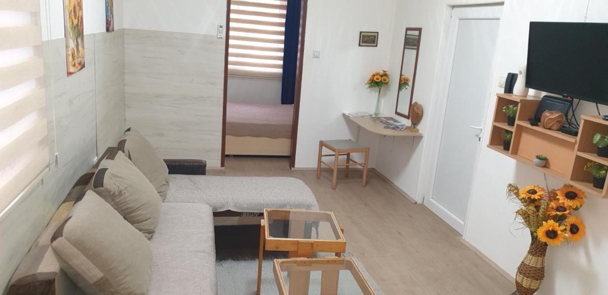 city center apartment 1 - Housity
