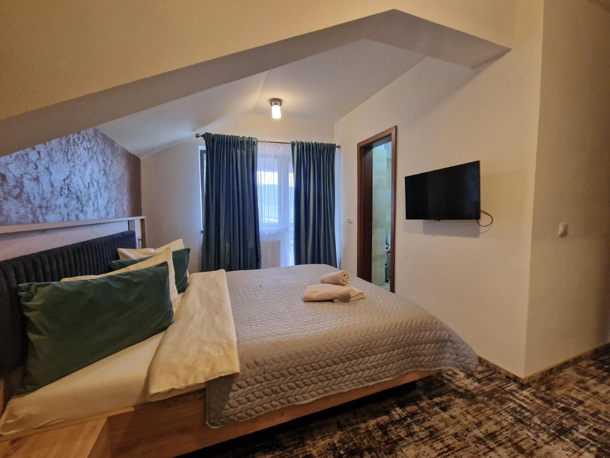 Pensiunea Conacul lui Horia - Housity