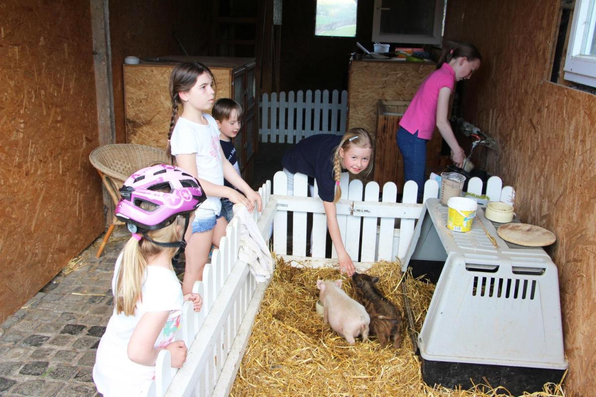 Suitetrails - Pony-und Ferienhof Gut Habbecke