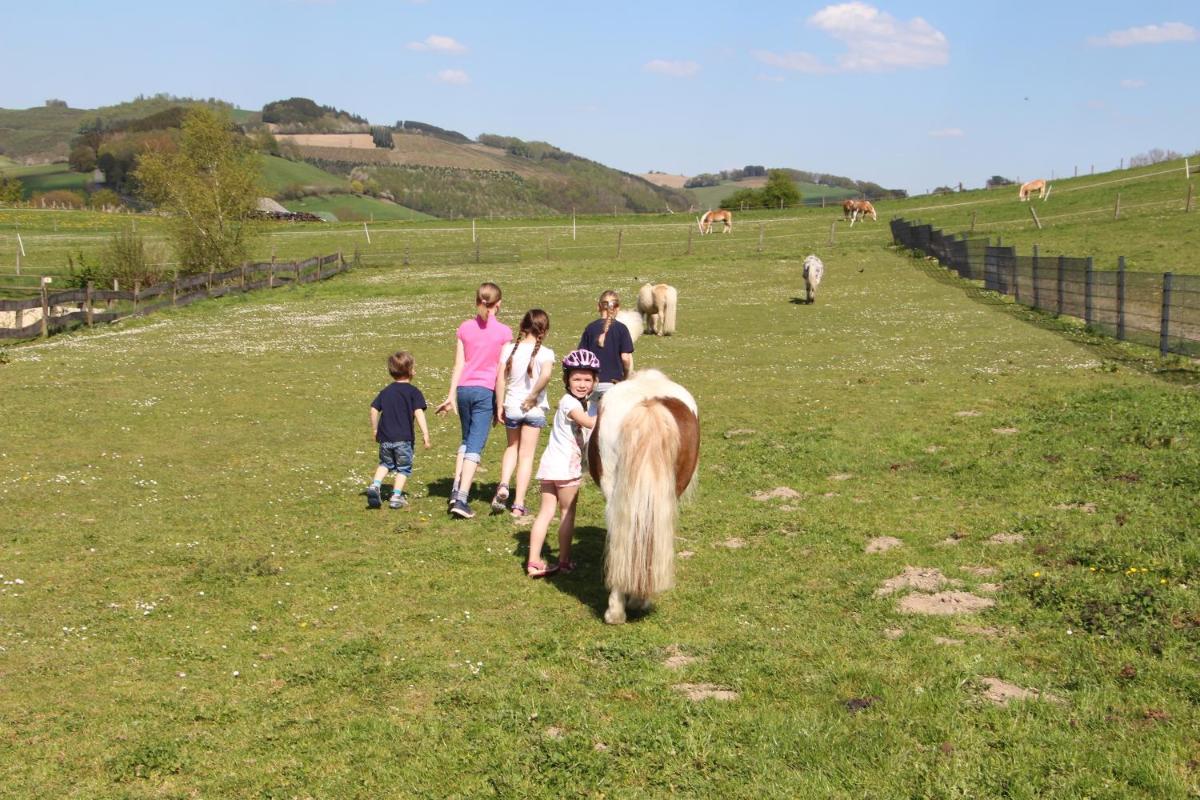 Suitetrails - Pony-und Ferienhof Gut Habbecke
