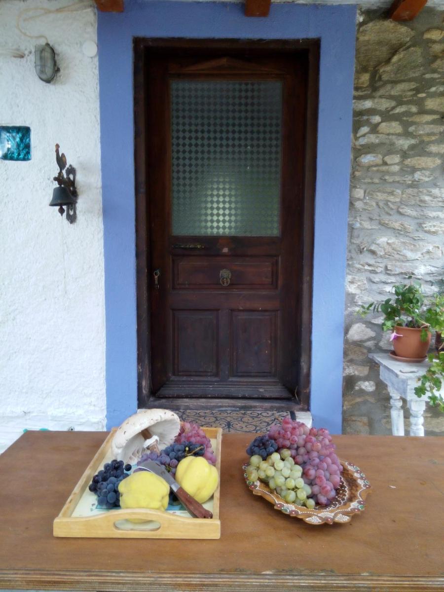 House Rodia - Housity