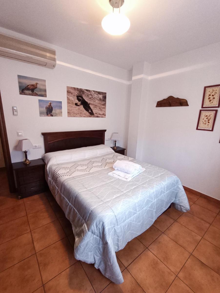 Águila Real - Housity