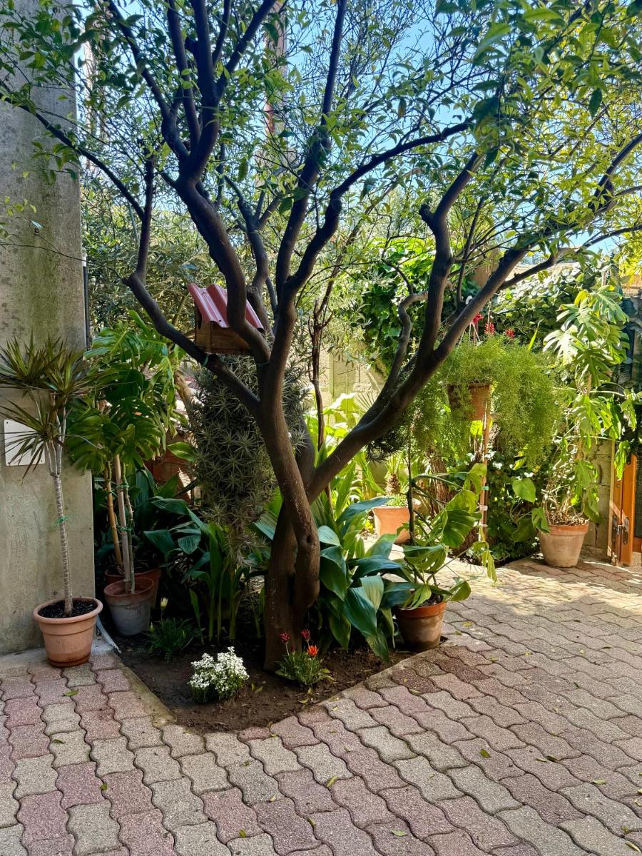 Il Quarzo Azzurro - Housity