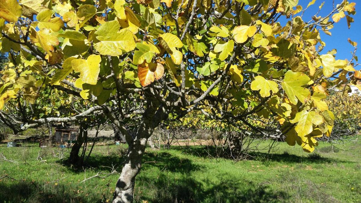 Casa Rural La Era 3 - Adults Only - Housity