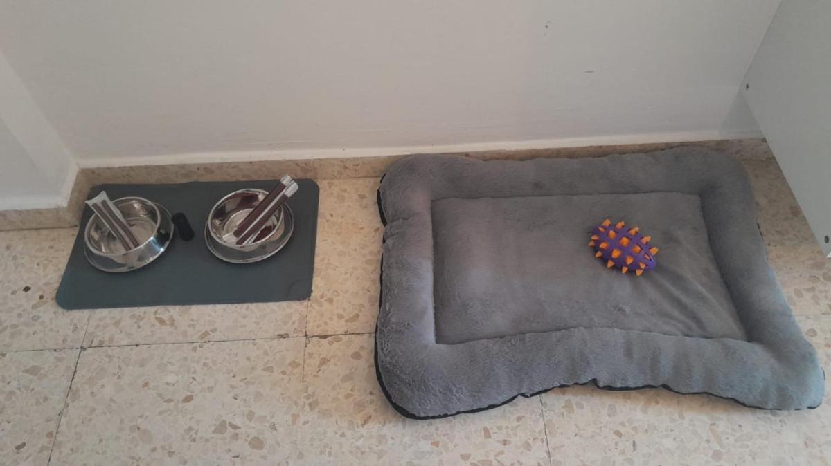 Pet Friendly Apto El Sendero - Housity