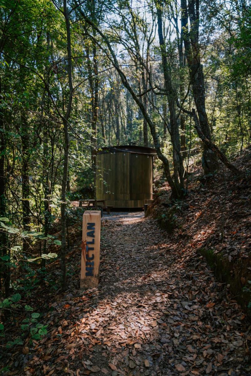 WANDER CABINS Mineral del Chico - Housity