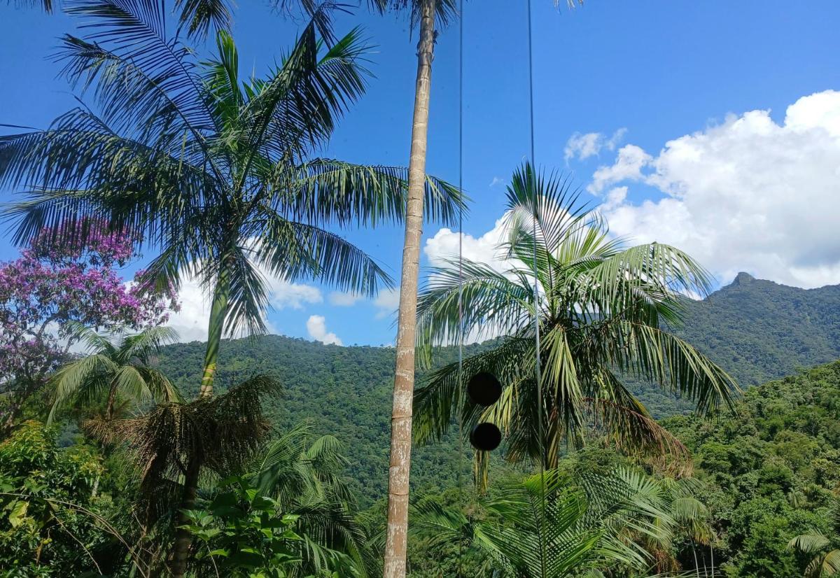 Casa da Floresta Pico da Águia - Housity