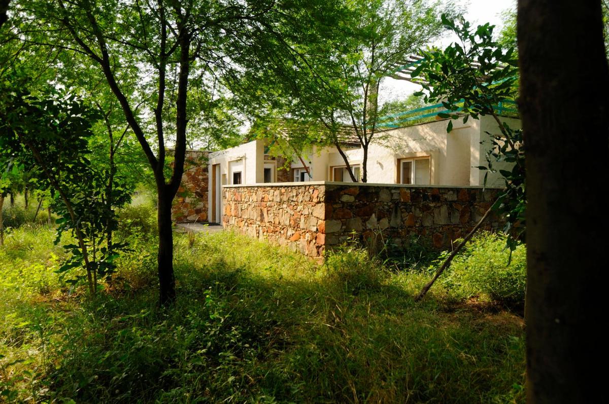 Trees N Tigers Luxury Wildlife Lodge - Housity