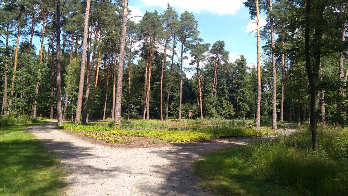Ośrodek Edukacji Ekologicznej Lasy Janowskie - Housity