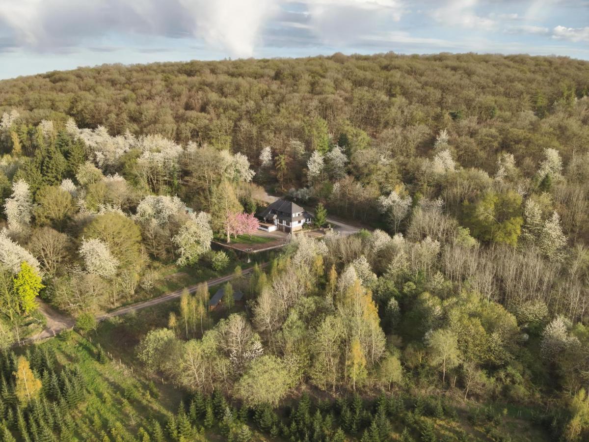Totale Ruhe im Wald - Housity