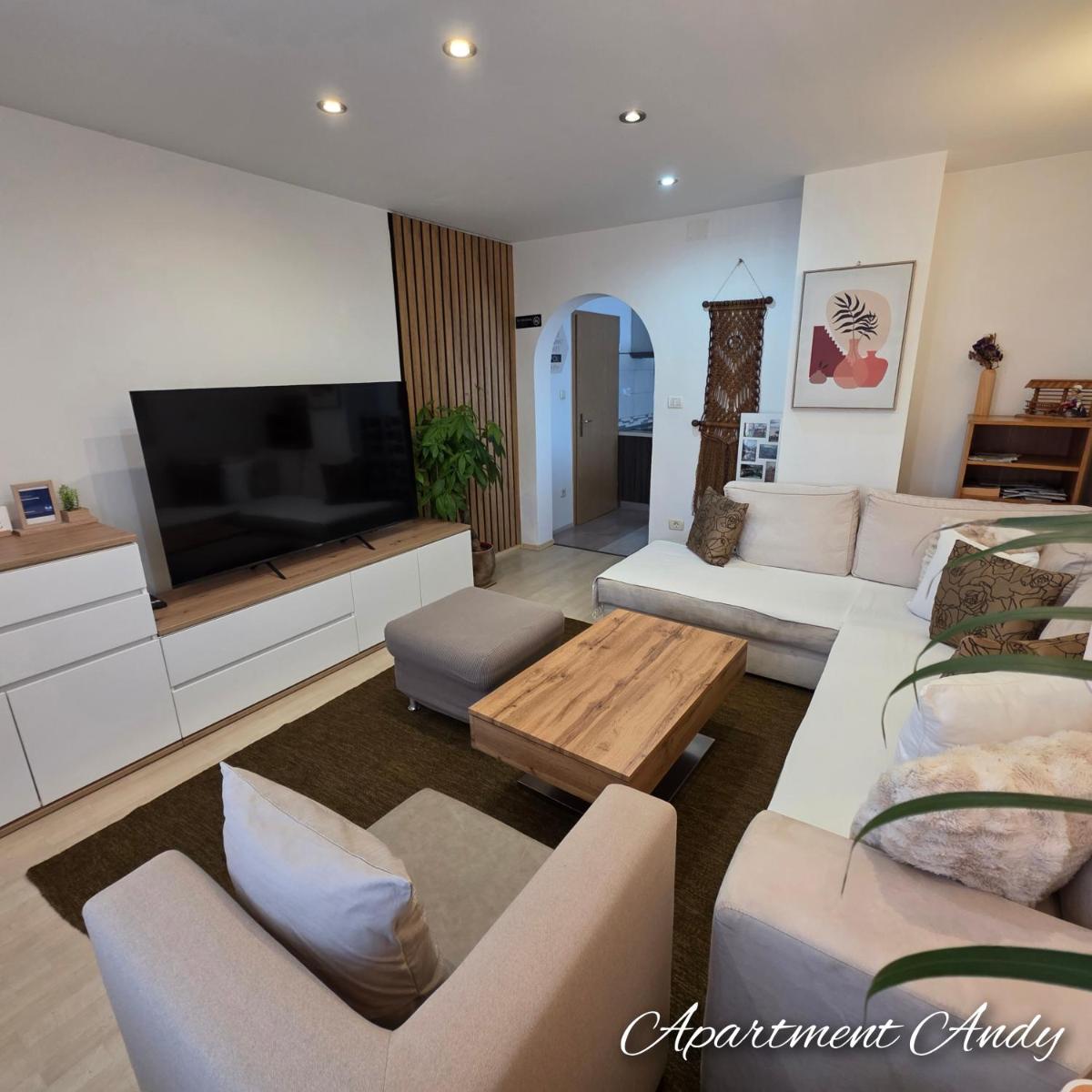Apartment Andy - Housity