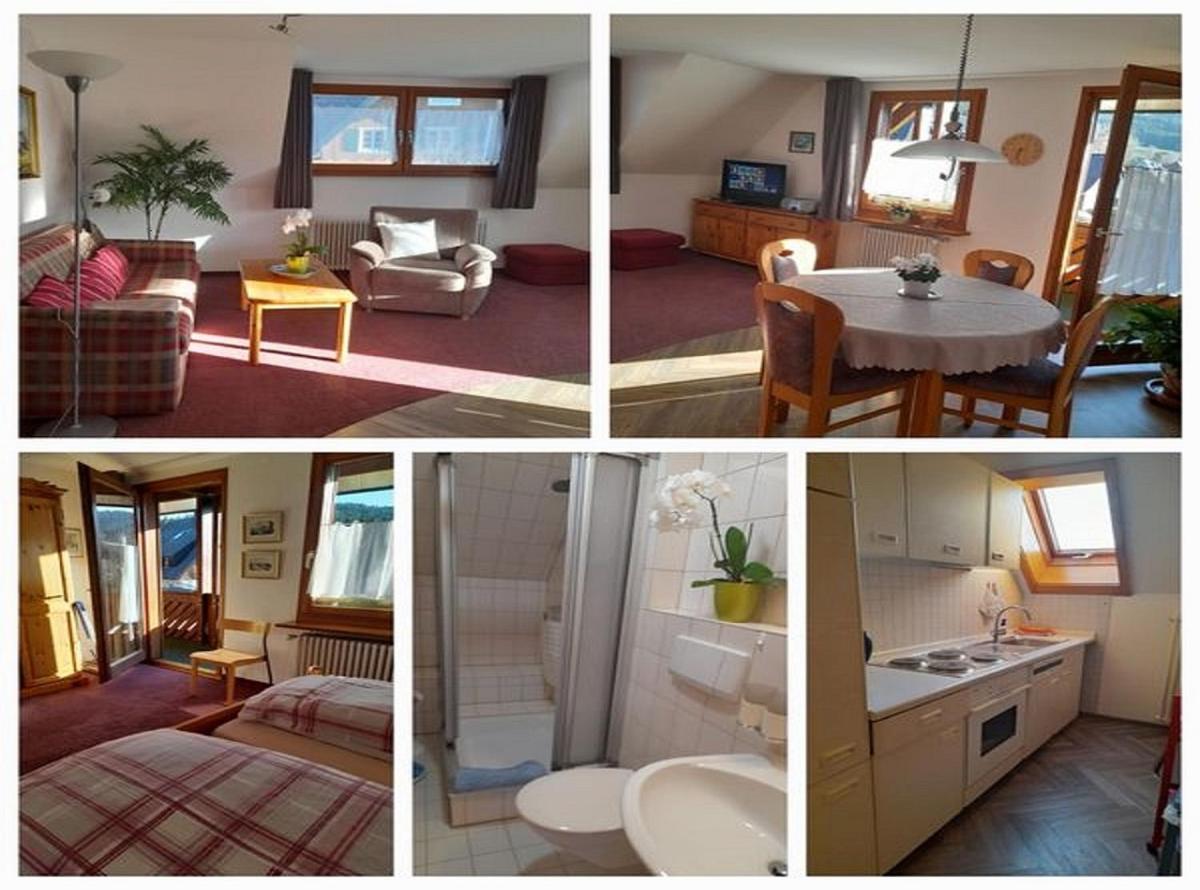 Ferienhaus im Park - Housity