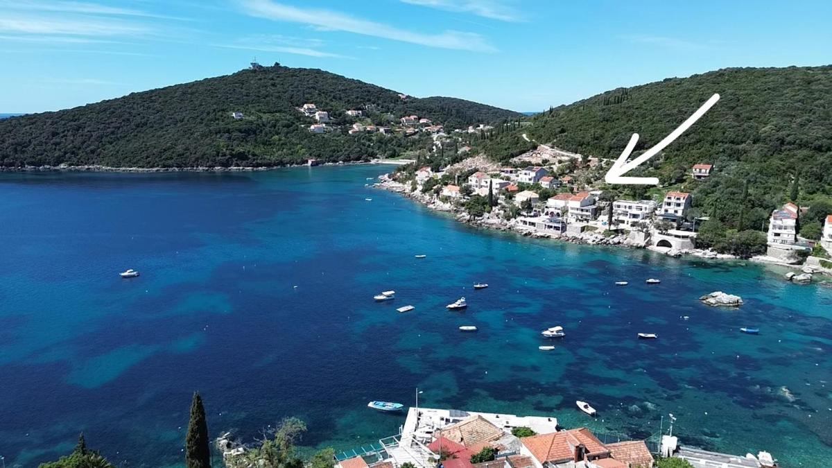 Apartments Miovic - Housity