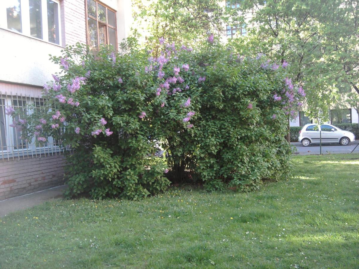 Belvárosi Studio Apartman - Housity
