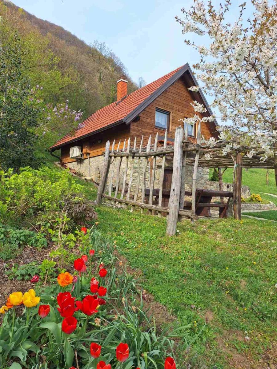 Relaxing Cottage Donacka Gora - Housity