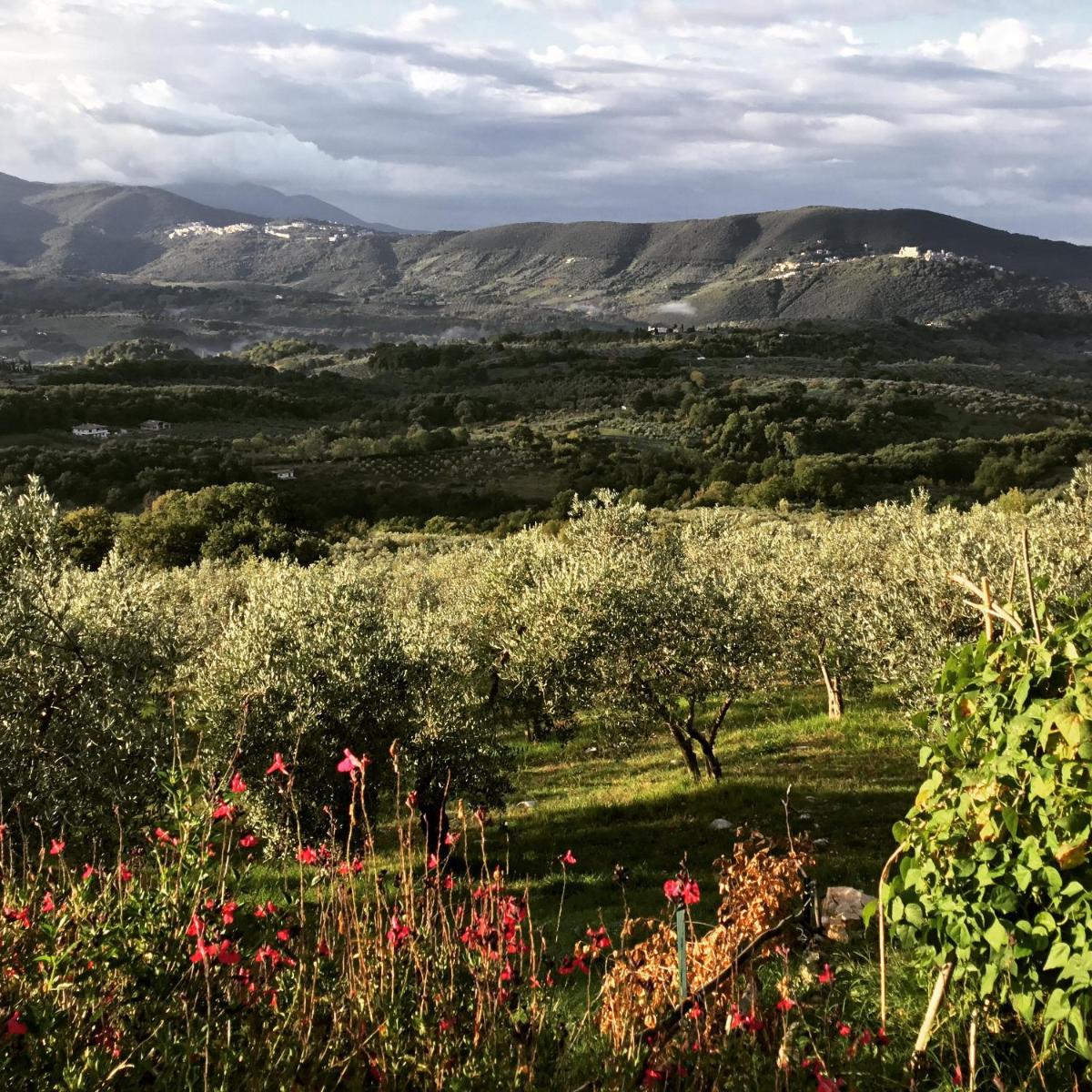 B&B da Odila - Housity