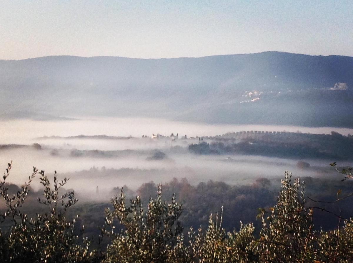 B&B da Odila - Housity