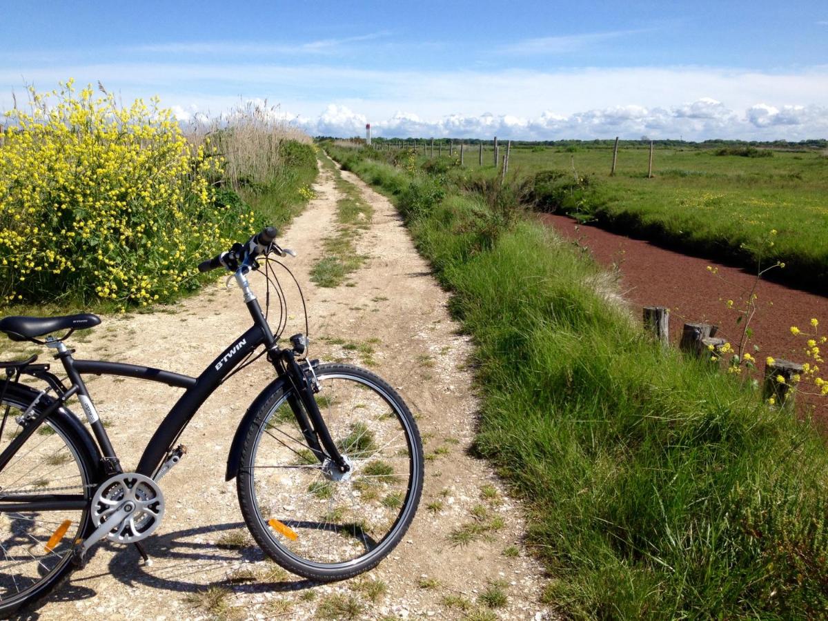Vélo sur le terrain de l'établissement Grand Hôtel des Bains SPA ou dans les environs
