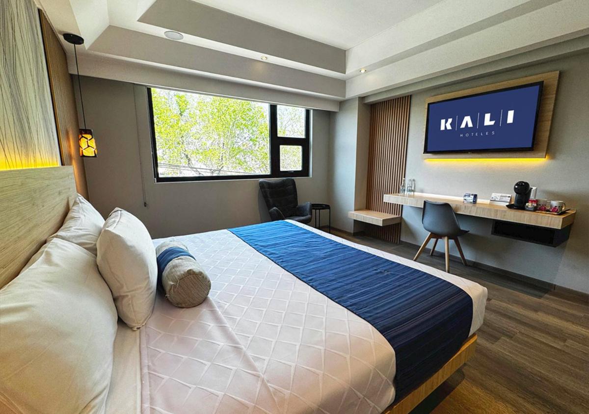 KALI Vallejo Mexico City - Housity