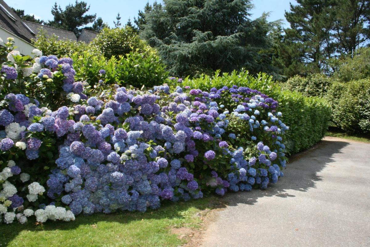 Jardin de l'établissement Logis Latitude Ouest Hôtel Restaurant & Spa