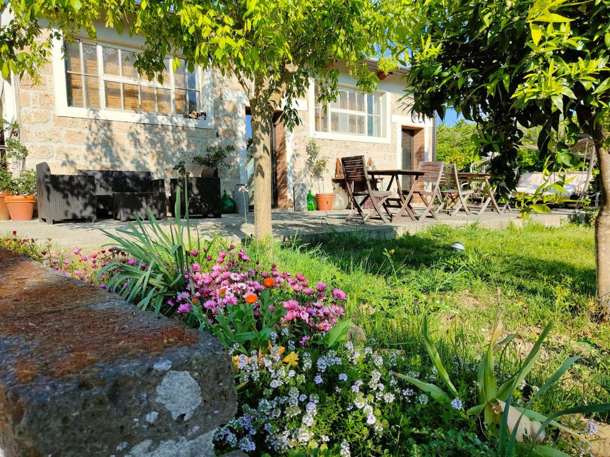 Le Piracante, Rural Retreat & B&B Caiazzo - Housity