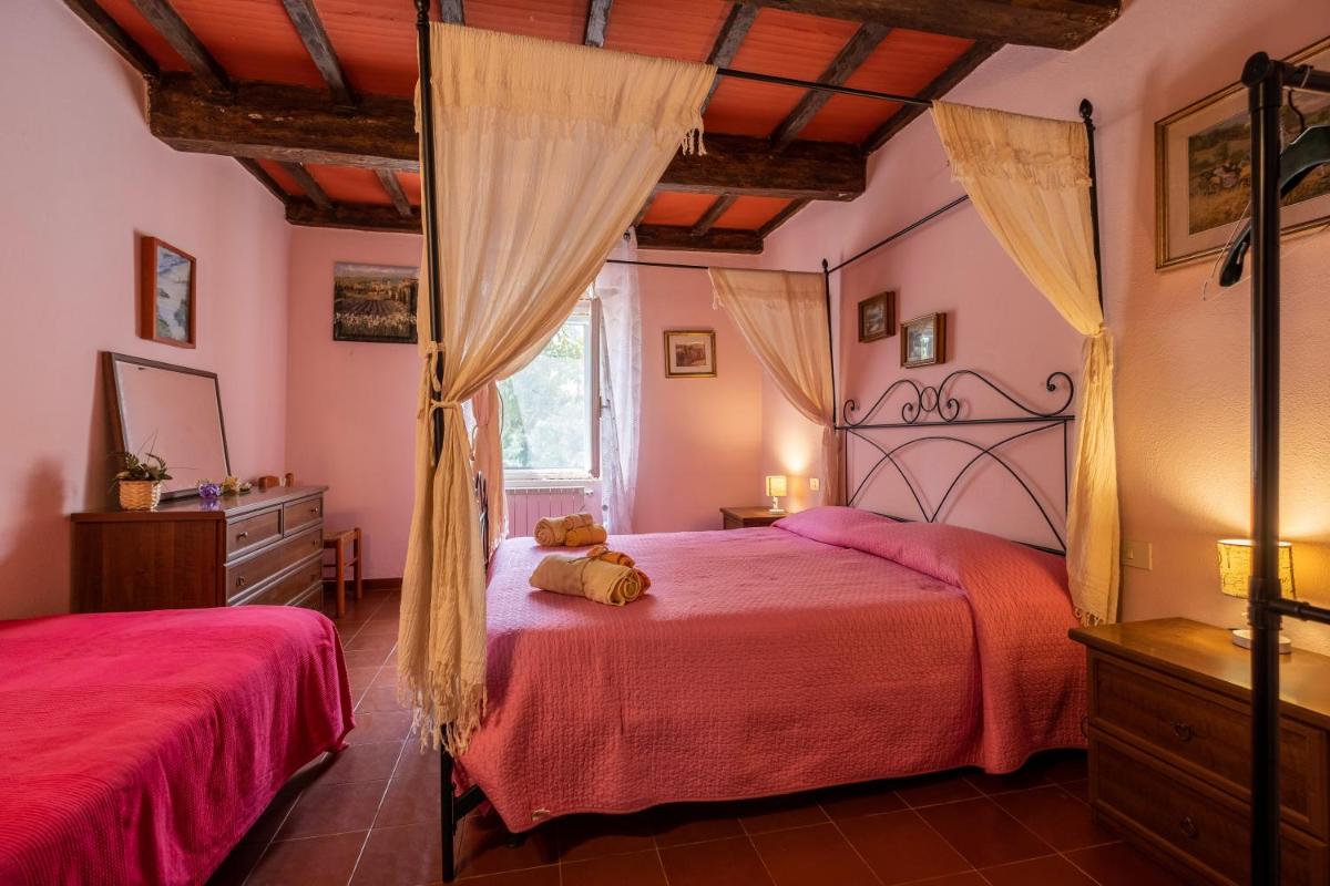 La pieve - Rose - Housity