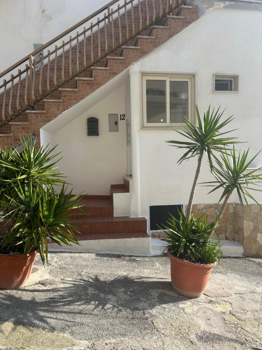 Casa Vacanze Flora - Hizvo