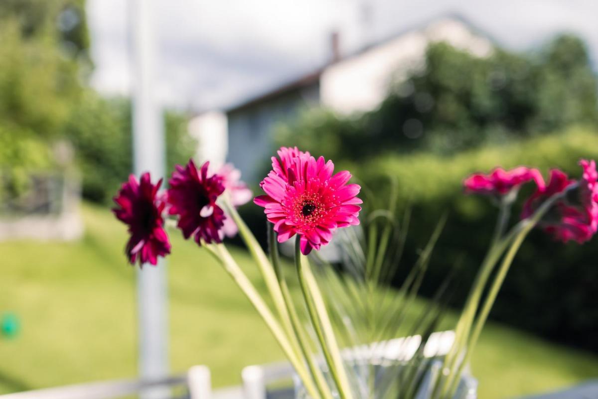 Purer Genuss - Garten und Alpe - Housity