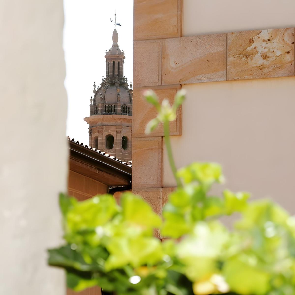 La Viña - Housity