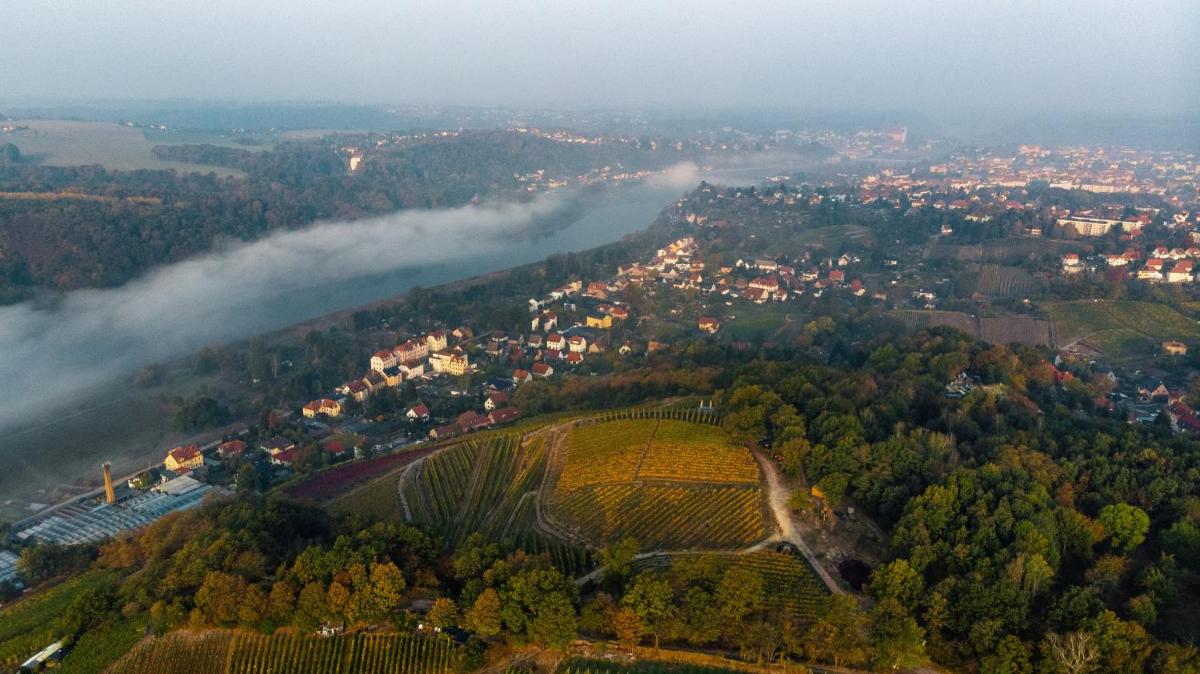 Weingut Schuh - Housity
