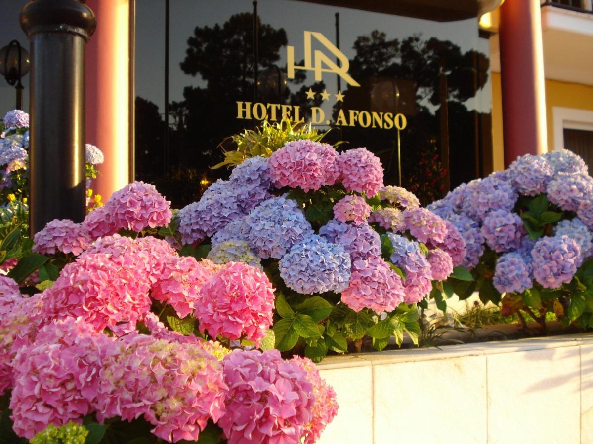 Um jardim no exterior de D. Afonso Hotel & SPA
