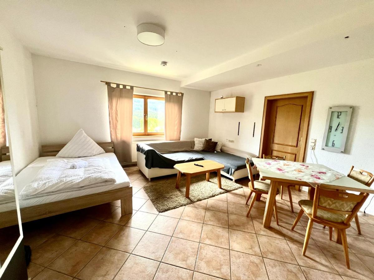 Gemütliche Ferienwohnung in Bodenmais I Sauna I Blick Silberberg - Housity