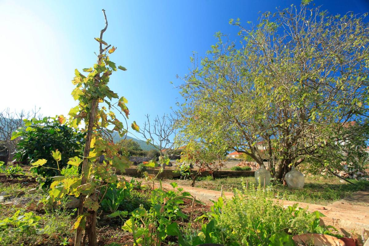 Holiday Home Paric - Housity