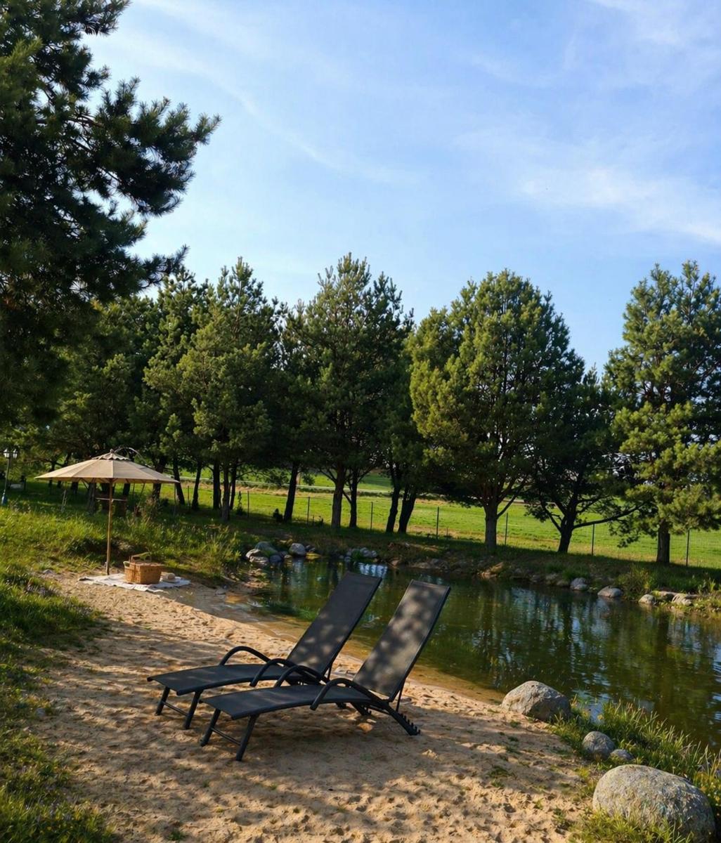 Pavasario Namai & SPA - Housity