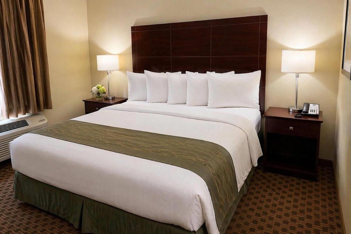 Travelodge by Wyndham Steele - Housity