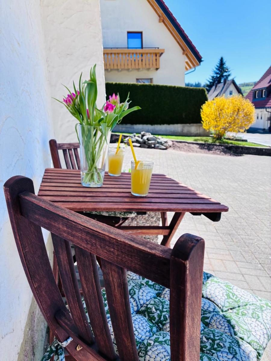 Schwarzwald-Nest Lenzkirch - Housity