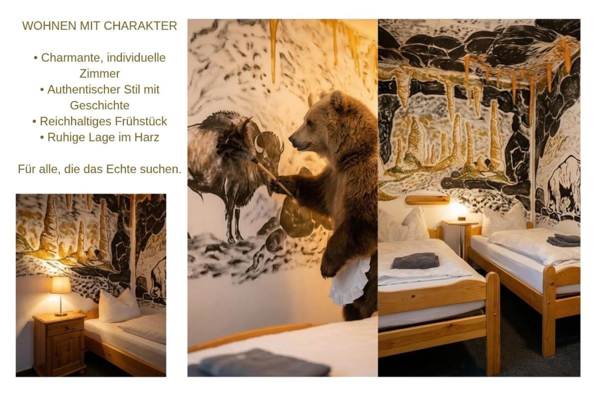Hotel Appartementanlage Hermannshöhle - Housity