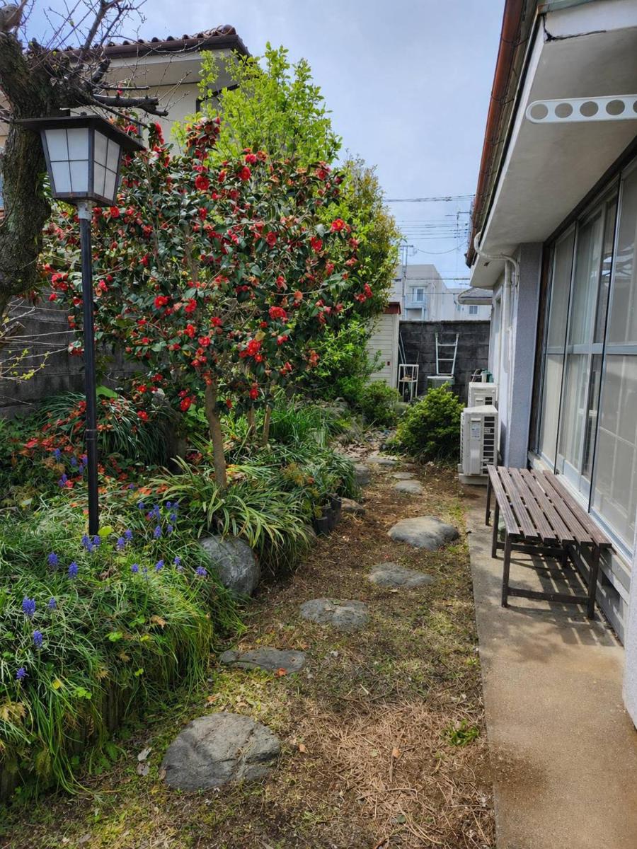 Guesthouse Face to Face - Hizvo