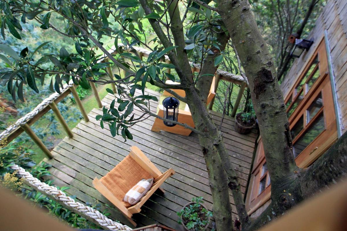 La Casa Del Árbol De Chiloé - Housity