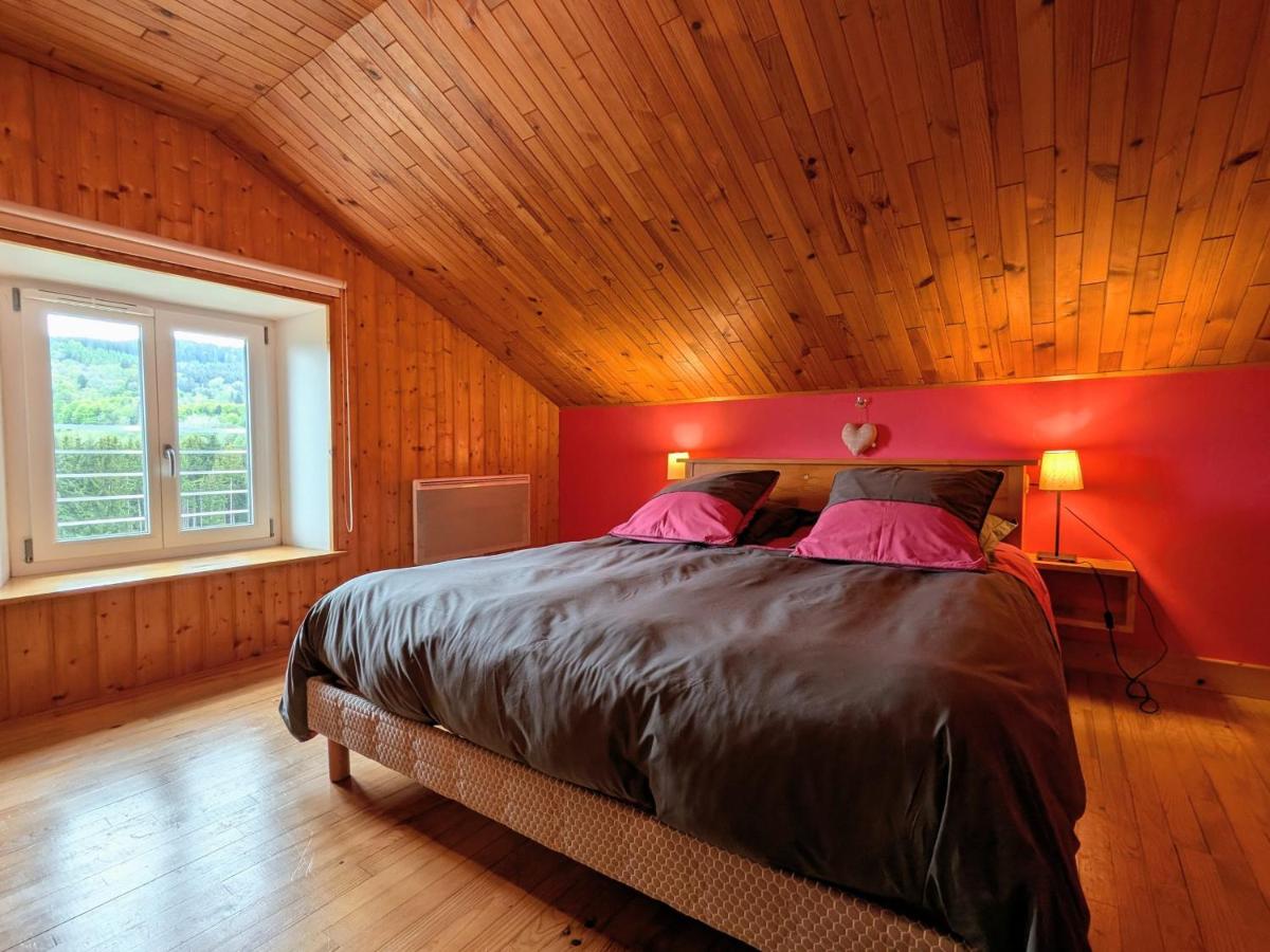 Gîte de montagne rénové avec poêle à bois - Saulxures-sur-Moselotte - FR-1-589-237 - Housity