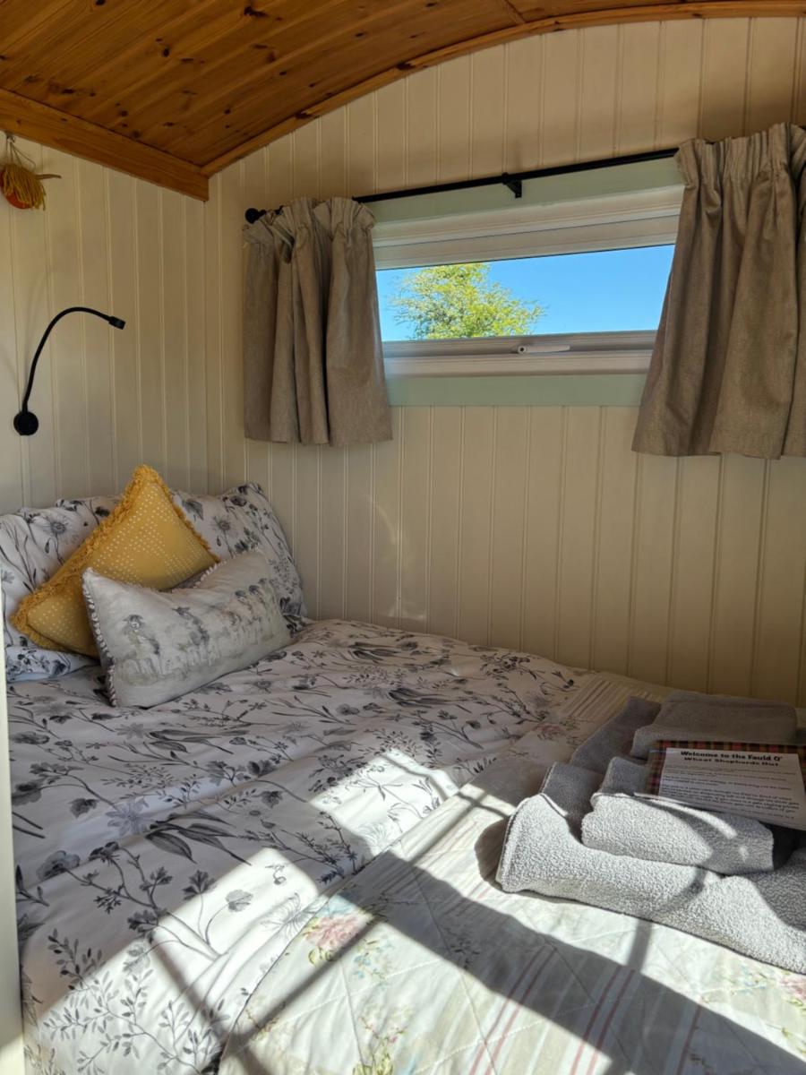 Fauld O Wheat Shepherds Hut , Loch Ken ,Off Grid - Housity