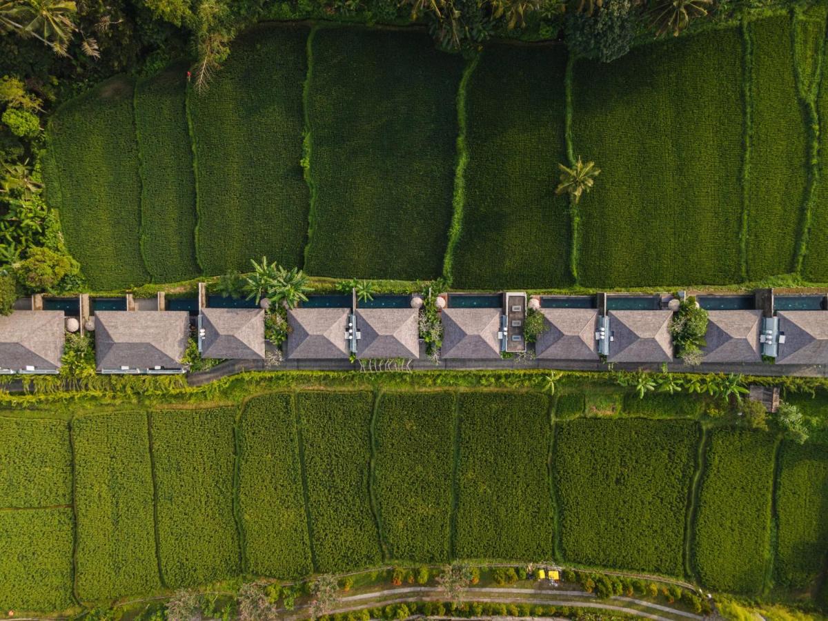 Kaamala Resort & Spa Ubud by Ini Vie Hospitality - Housity