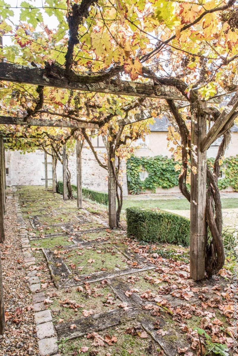 Jardin de l'établissement Château De Noirieux