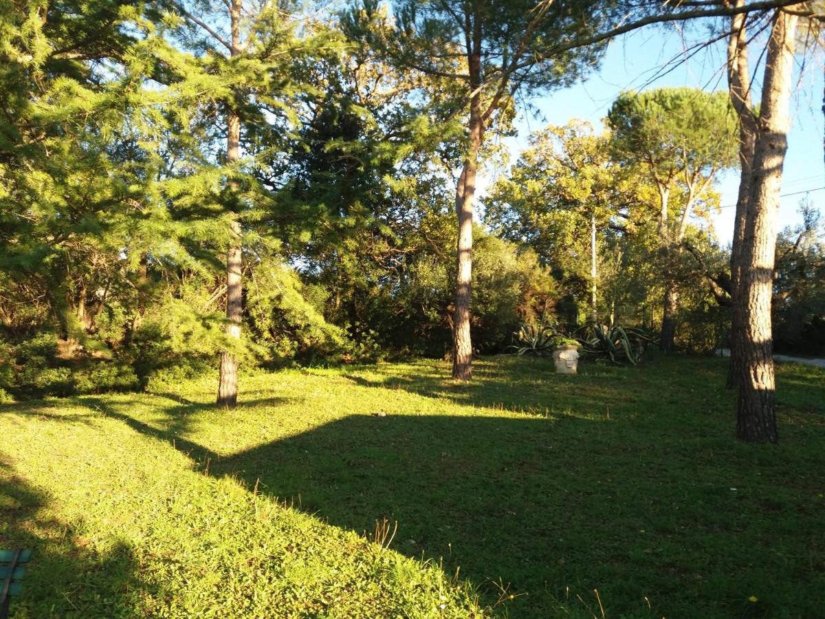Podere San Michele - Housity