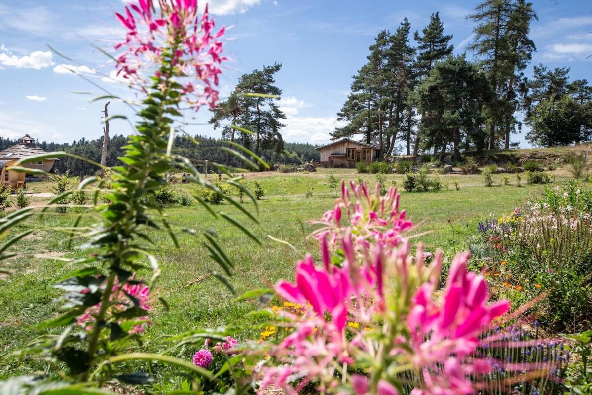 Chalet, chrysalide, ferme de Vovady - Housity