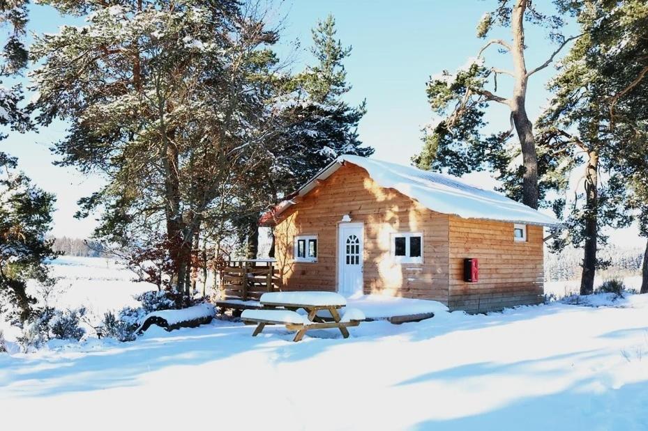 Chalet, chrysalide, ferme de Vovady - Housity