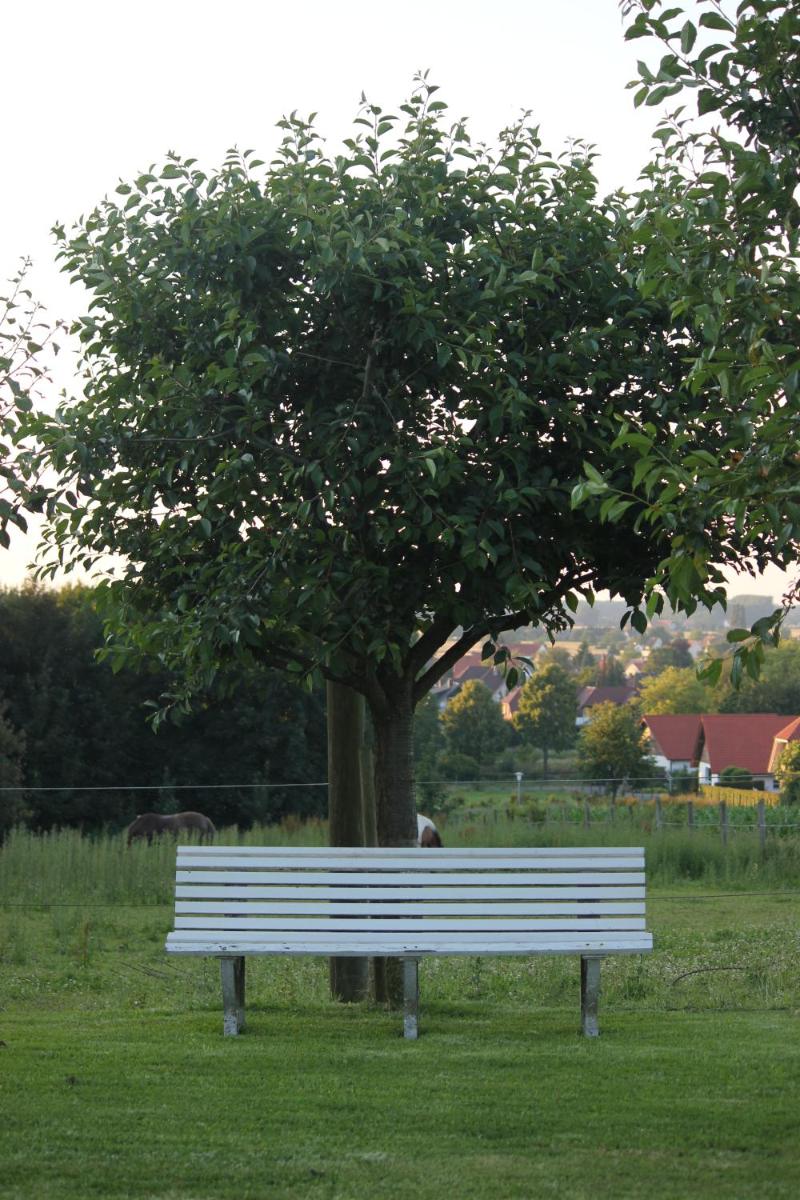 Hotel Pension Haus Stork - Housity