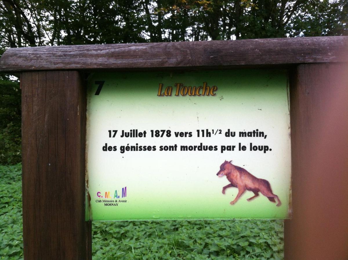 Domaine de la Touche Mosnay - Housity