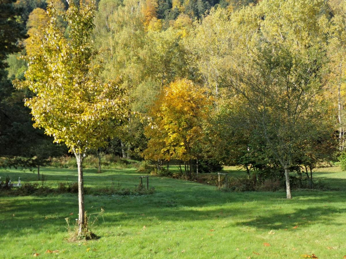 Jardin de l'établissement Hotel-Spa & Restaurant Logis Domaine Langmatt