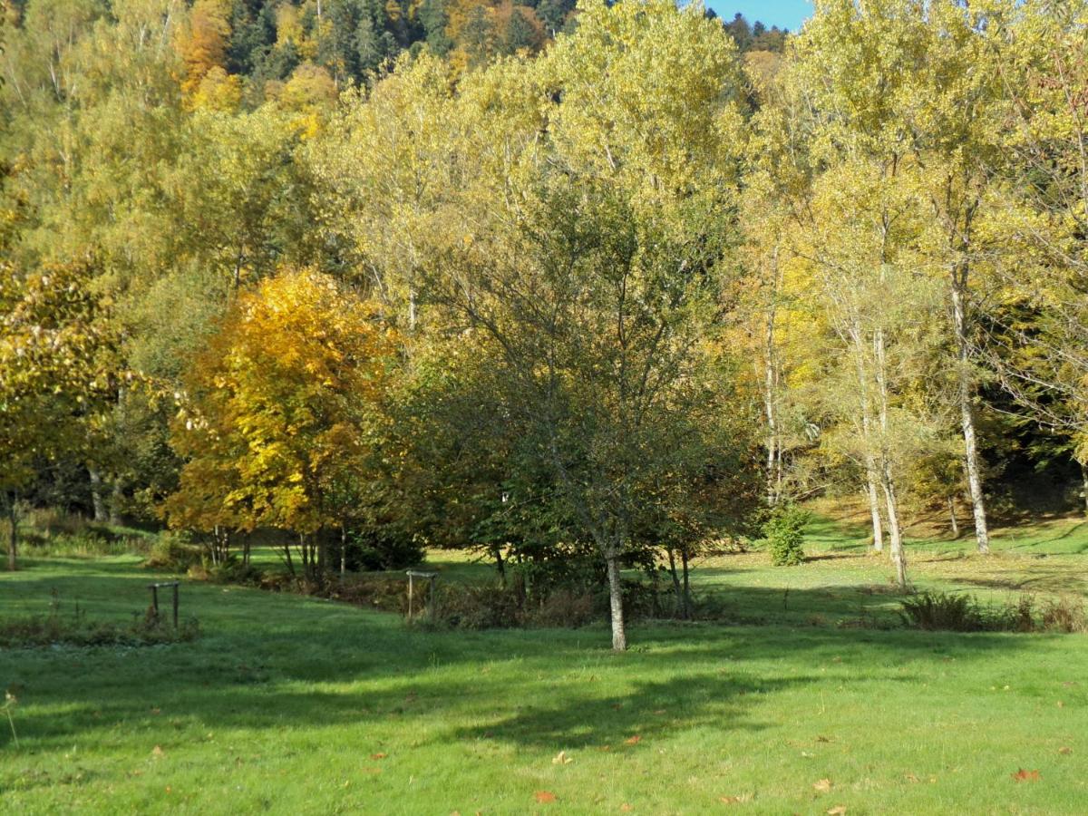 Paysage naturel près de l'hôtel
